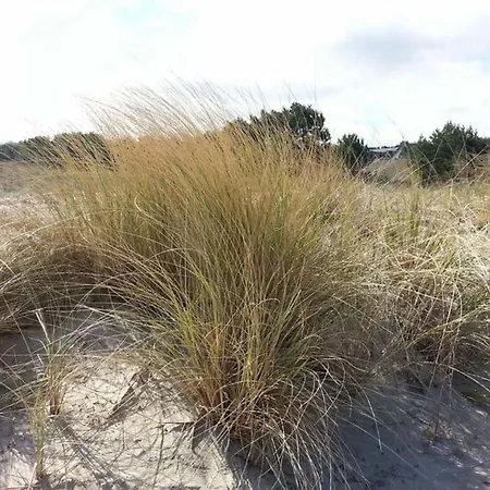 Dune 12 On The Apartment